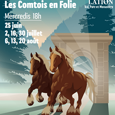 Les Comtois en Folie' equestrian show