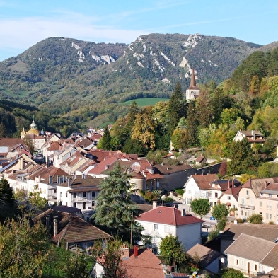 Mountain biking - The Jura Zed in 6 days