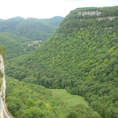 Belvédères de Chatillon - Corveissiat