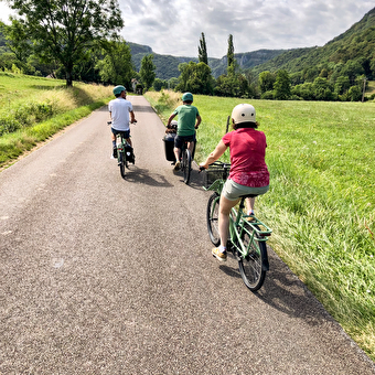 A Tour de Roues - ARBOIS