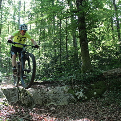 Parcours VTT 55 rouge - Sur les chemins des maquisards - Espace FFC Ain Forestière