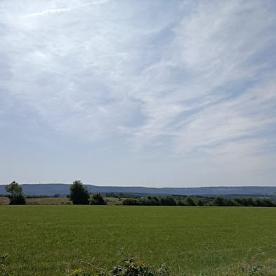 Tour of the Bois de Villars-Sous-Écot Maquis Monument