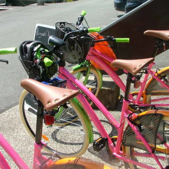 Location de vélos - Office de Tourisme du Pays de Montbéliard - MONTBELIARD