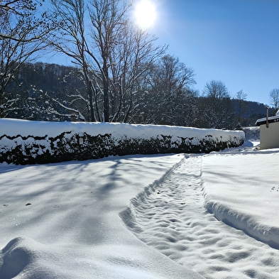 Appartement Souvet n°1804