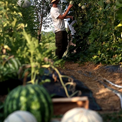 Visit to an organic fruit farm - Le Champ des Gourmands