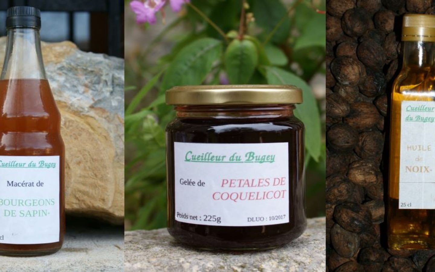 Cueilleur du Bugey