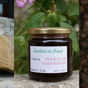 Cueilleur du Bugey - ARGIS