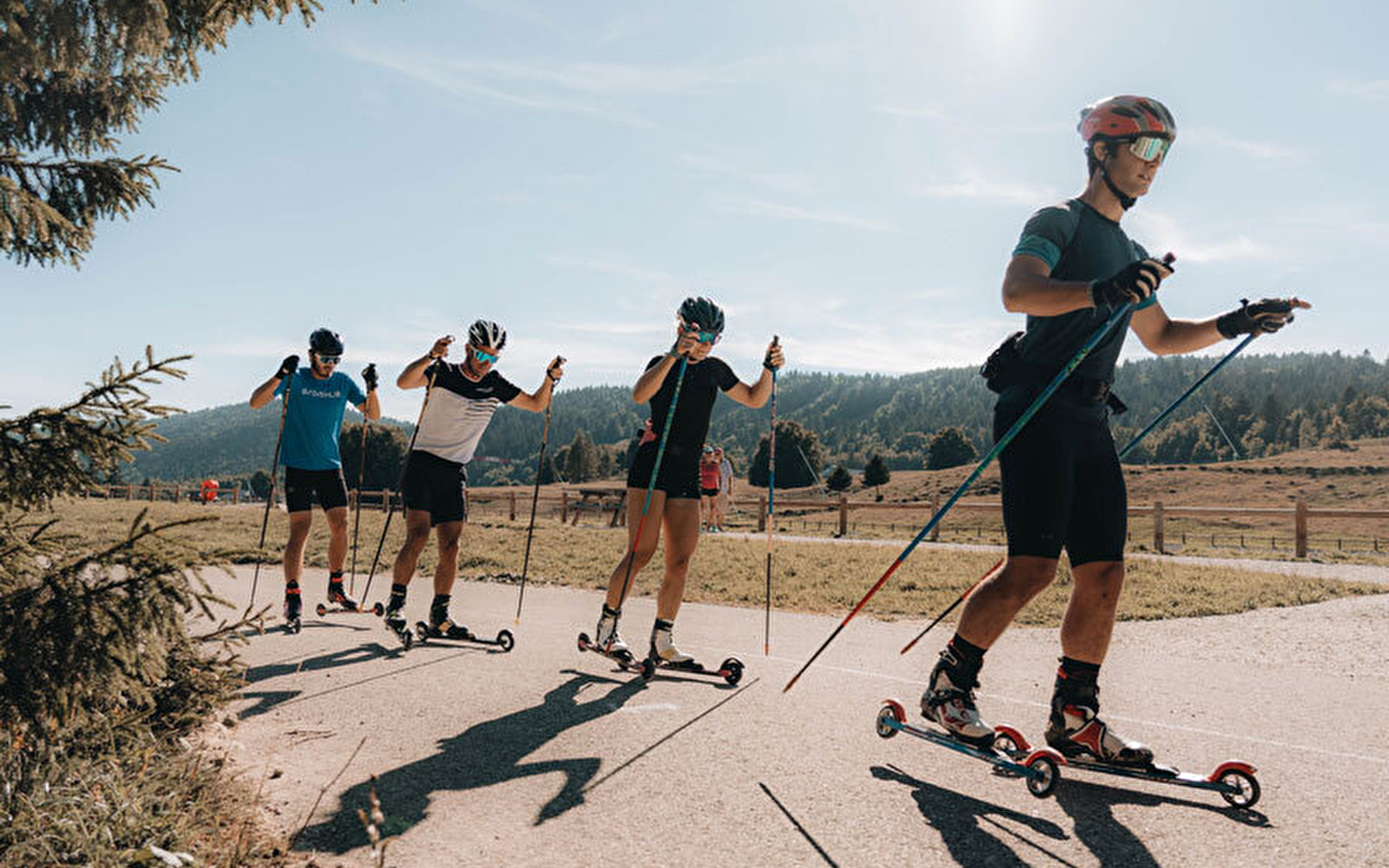 Roller skis on request