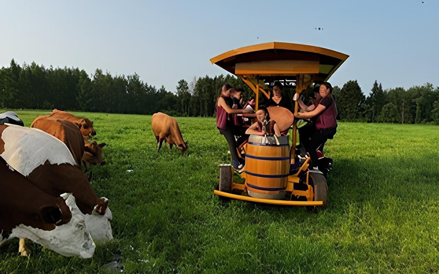 The Ferme du Rondeau by bike is fun!