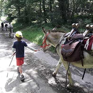 Donkey trekking