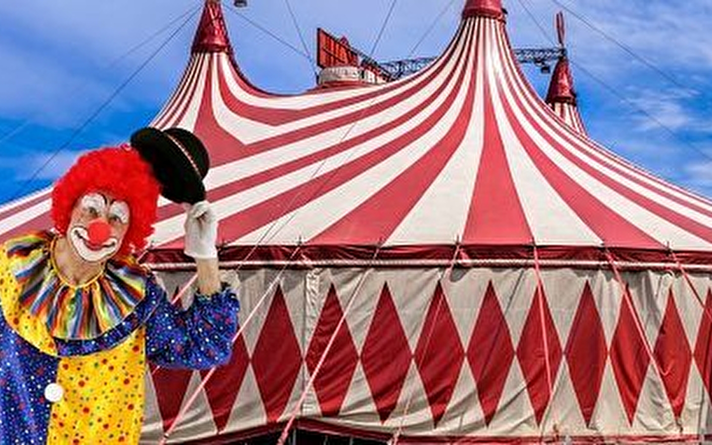 Exposition - Le Cirque