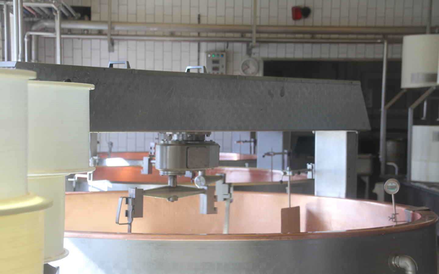 Guided tour of the dairy