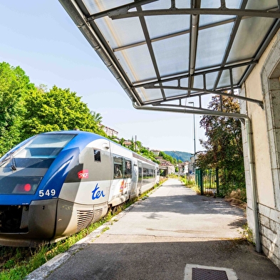 Accompanied group excursion - Ligne des Hirondelles