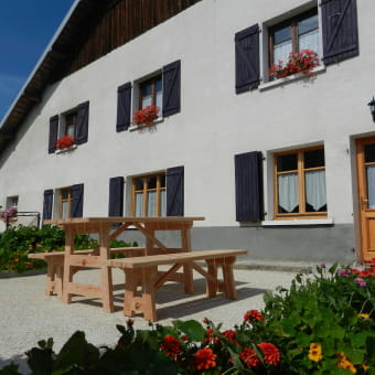 Appartement - Yann Patoz - PAYS-DE-MONTBENOIT