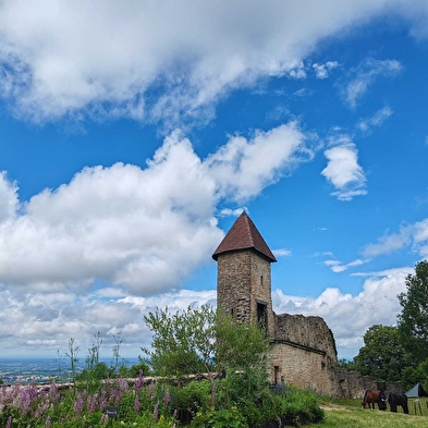 Guided tours - open house at Château de Chevreaux