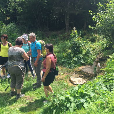 Patrick - Accompagnateur en Moyenne Montagne