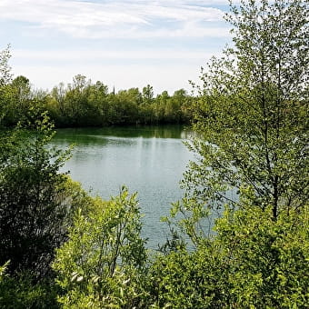 The Pond House East - LES DEUX-FAYS