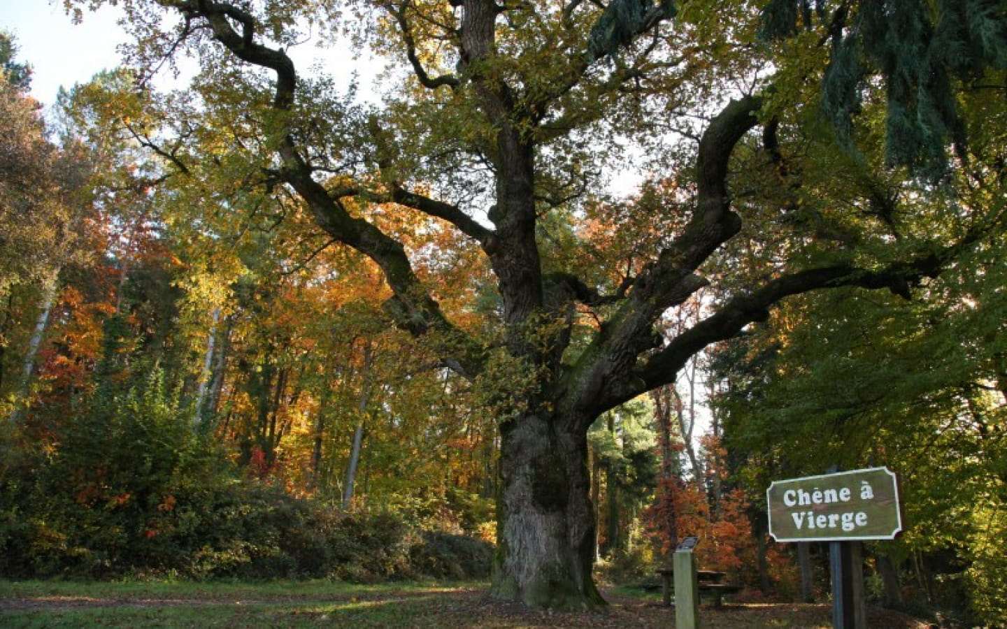 Path of the Springs