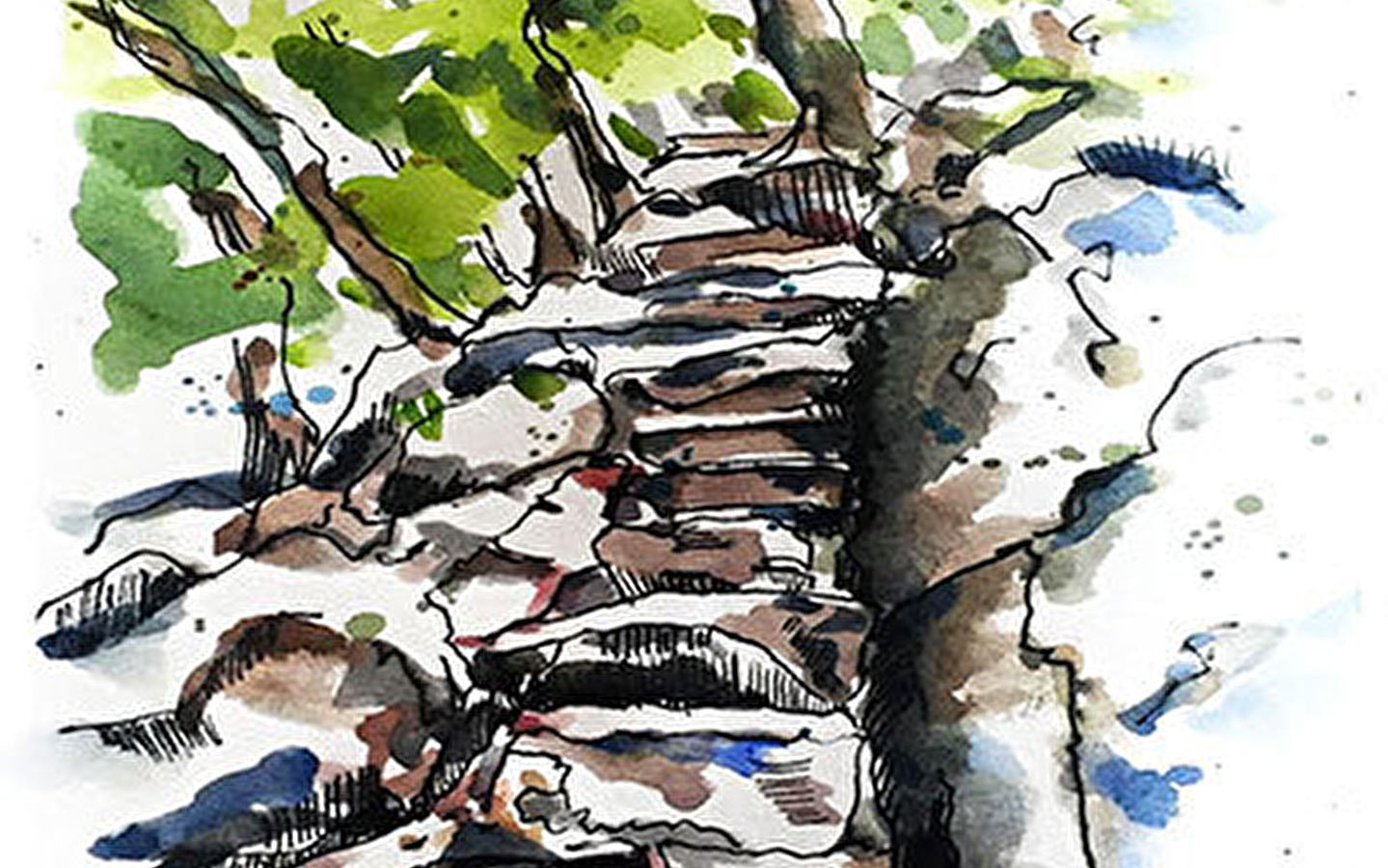 Summer course in drawing and painting: Drawing the spirits of nature