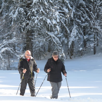 Snowshoeing trails in Nanchez