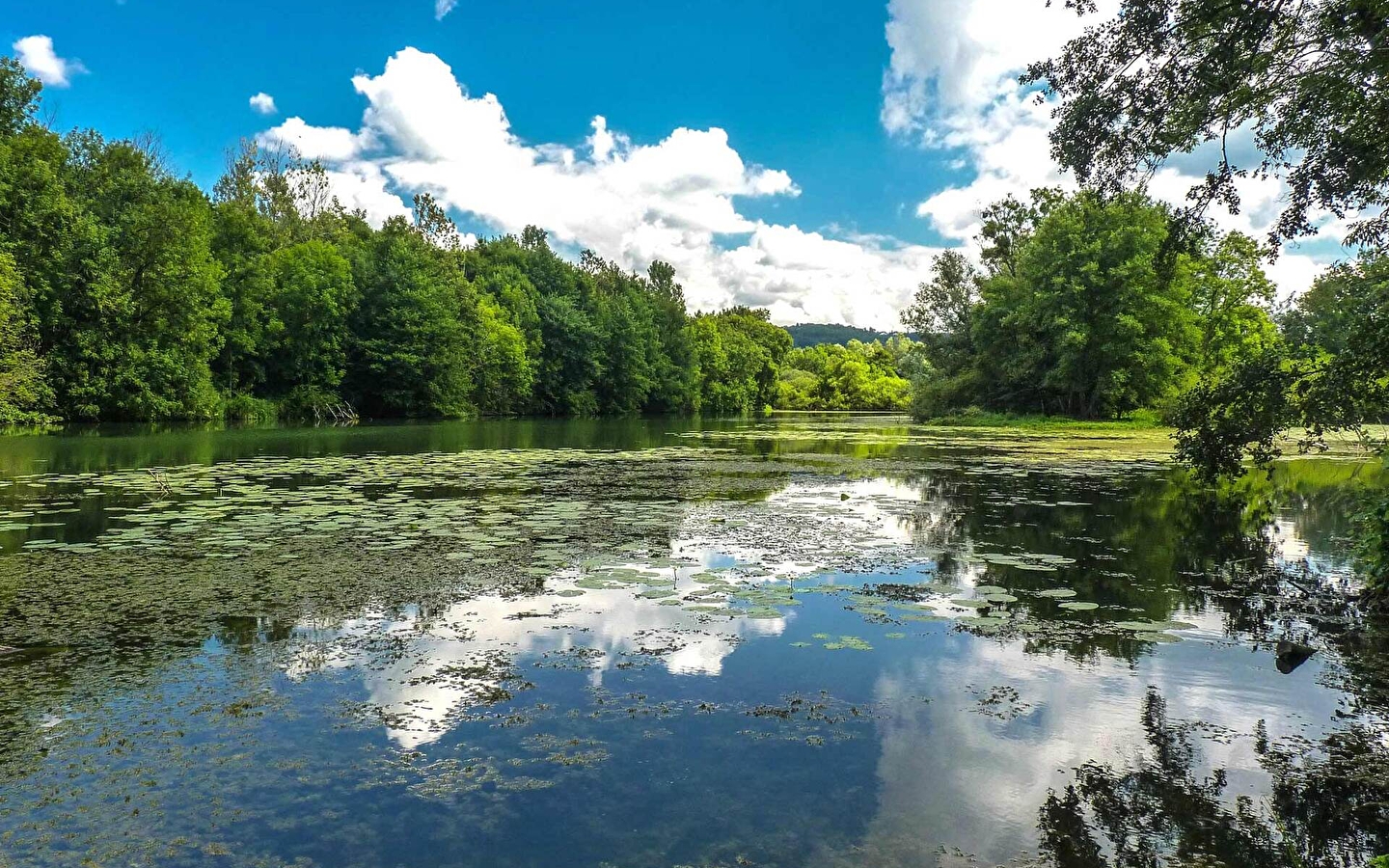 The Marais de Saône