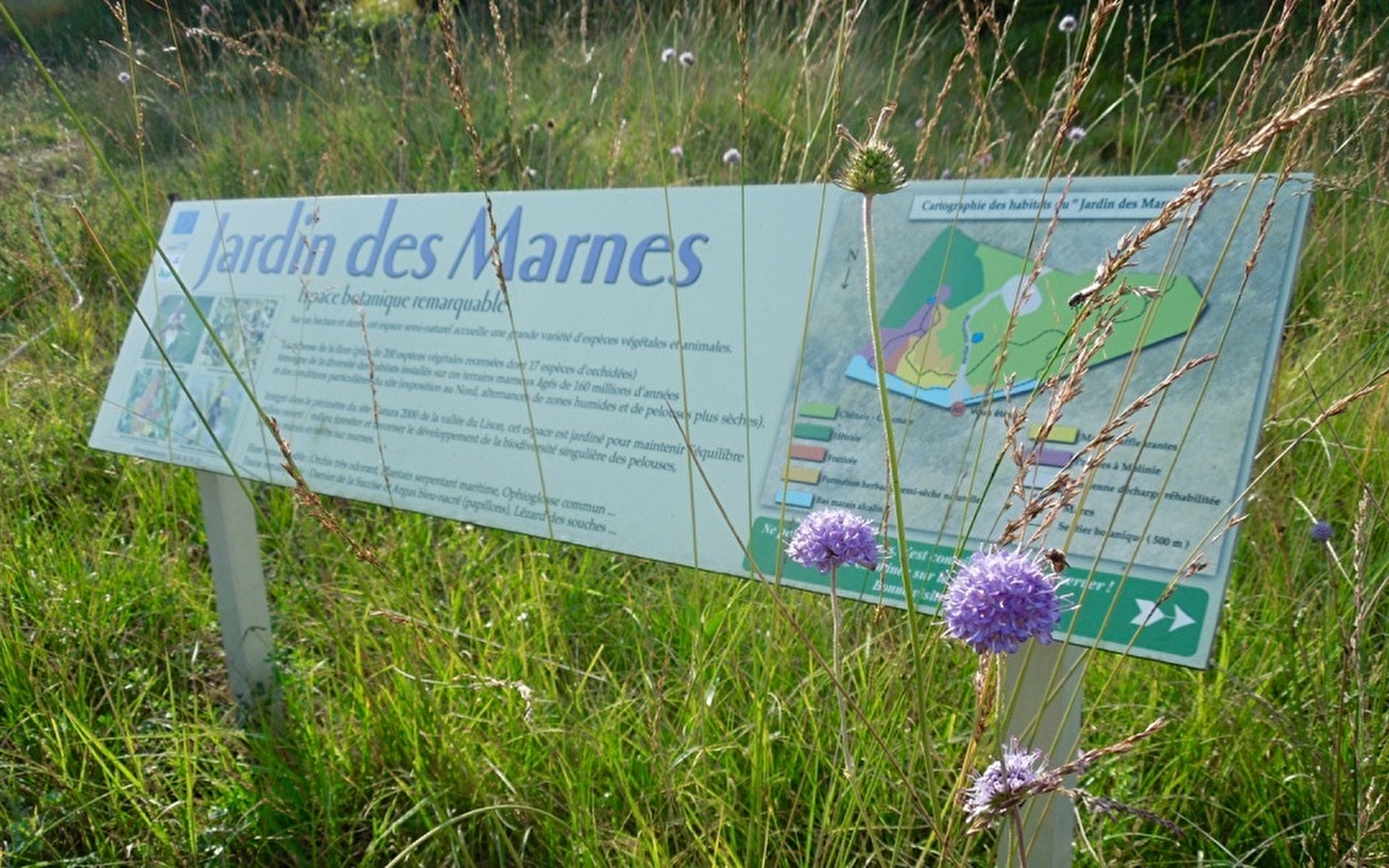 Jardin des Marnes path