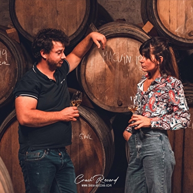 Wine and glass pairings - a journey of flavours
