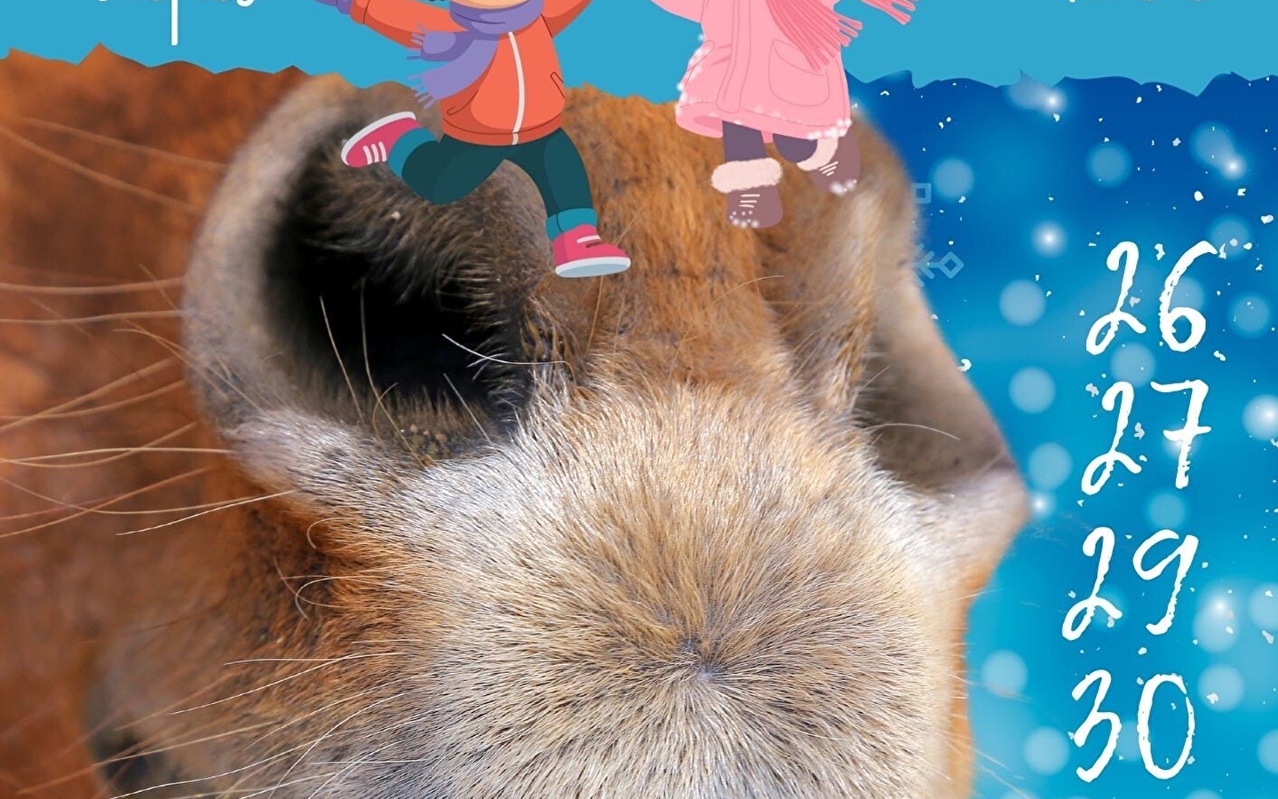 Children's afternoons - La Ferme des Comtois