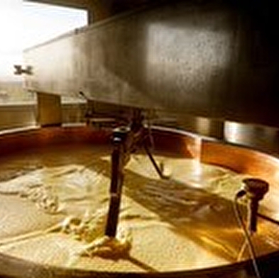 Visit to the Fruitière Les Délices du Plateau