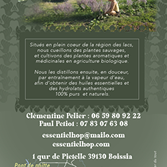 Essentiel Hop - BOISSIA