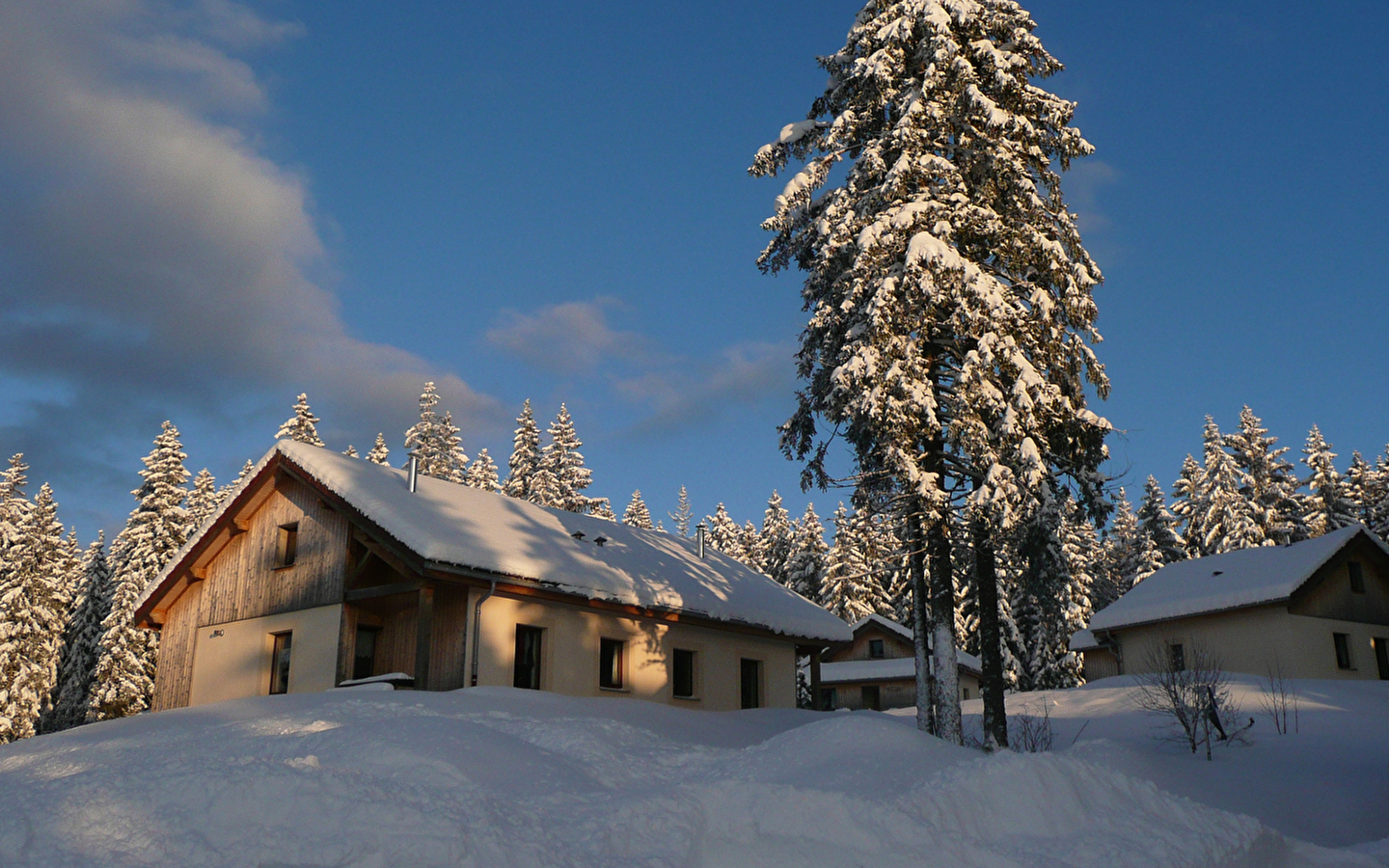 Chalet -Les Hauts Bois - l'Églantine