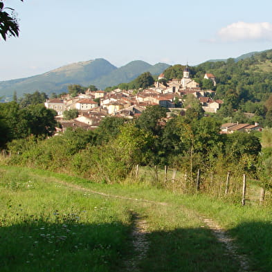 Circuit VTT n°3 (bleu) - Treffort cité médiévale