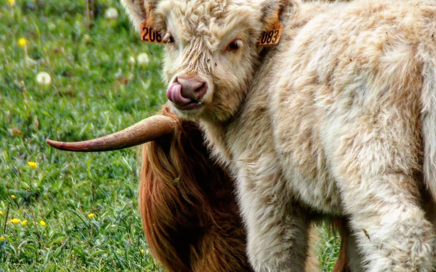 Visite de La Ferme du Marais