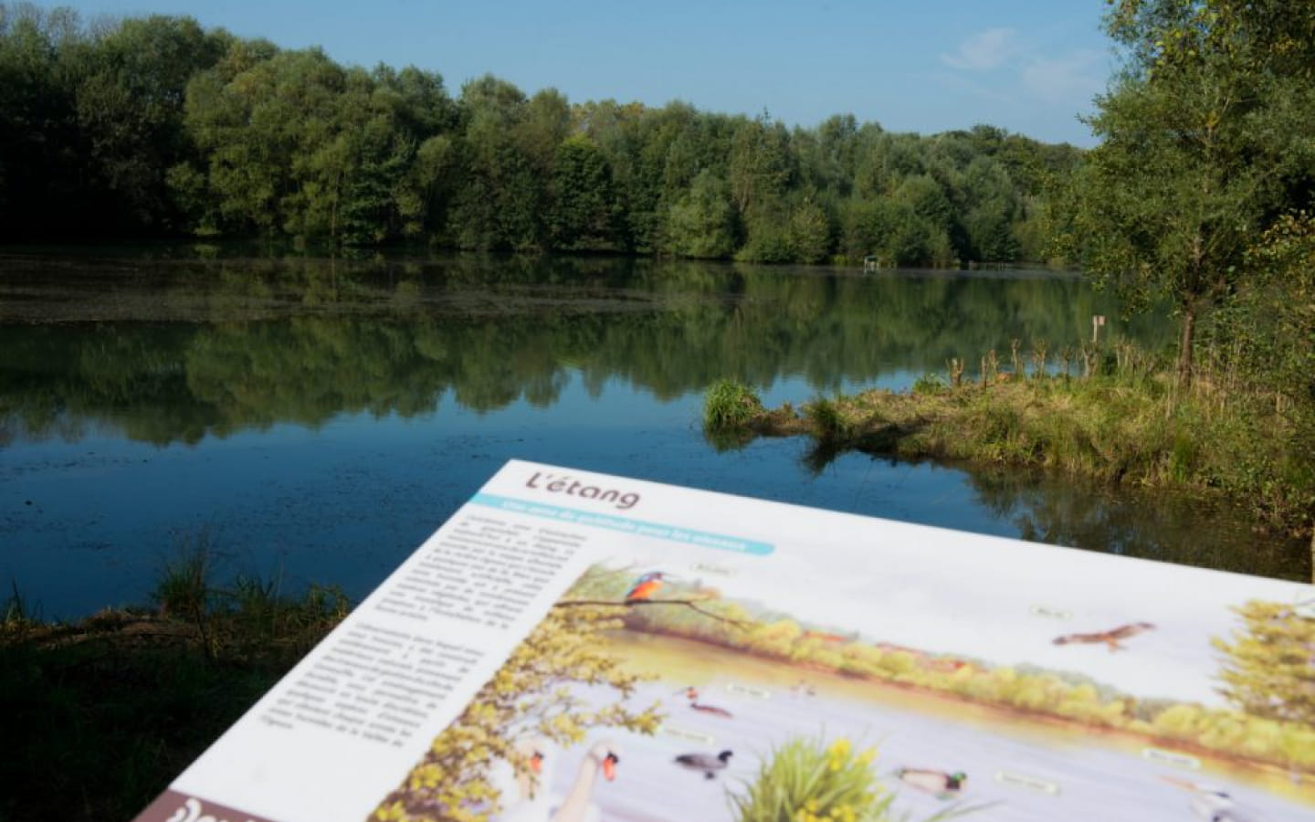 La Sablière de Geneuille - Sensitive natural area