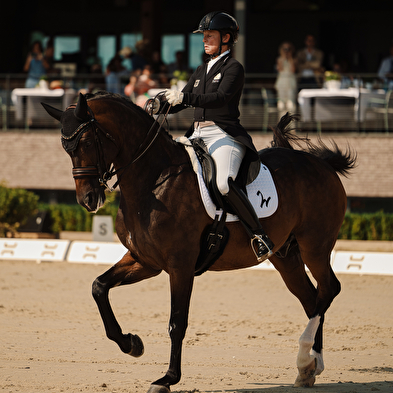 Championnat d'Europe de dressage FEI