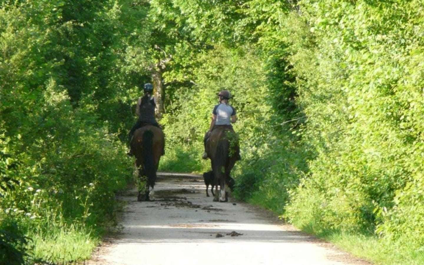 JV Équitation