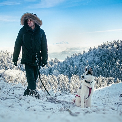 Cani-randonnée avec Nordic Indiana