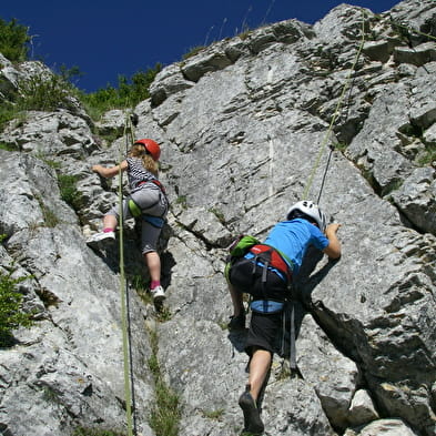 Escalade avec Lézard des Bois