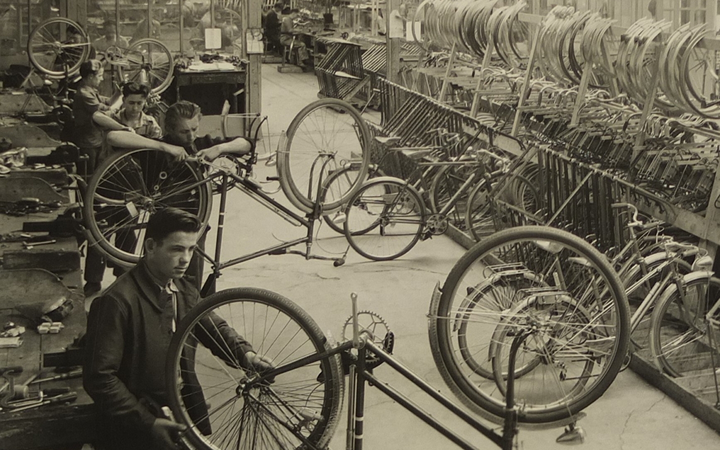 Temporary exhibition: 'The Mervil cycles