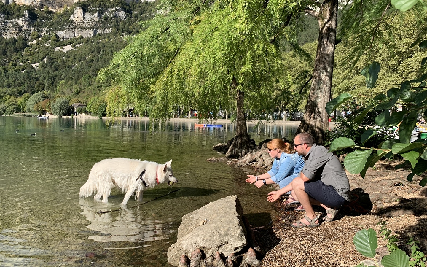 Journée dog friendly