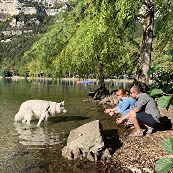 Journée dog friendly - NANTUA