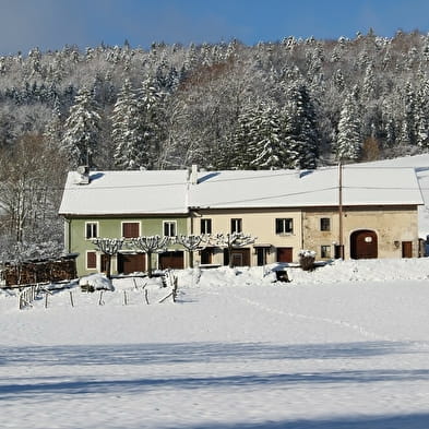 Gîte n°G879