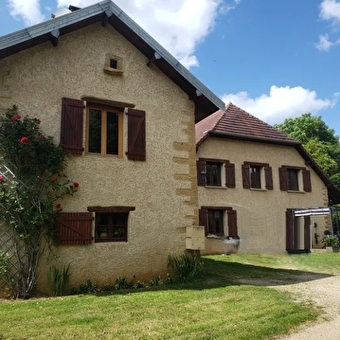 Poisson Rouge - MOLAMBOZ