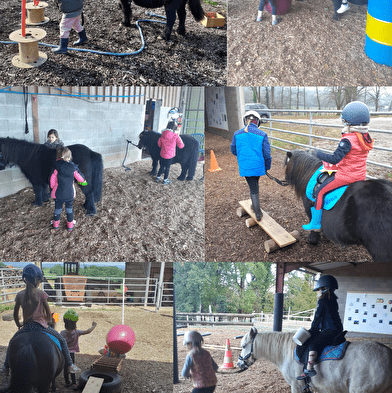 Pony course