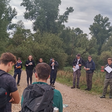 Île du Girard comes alive!