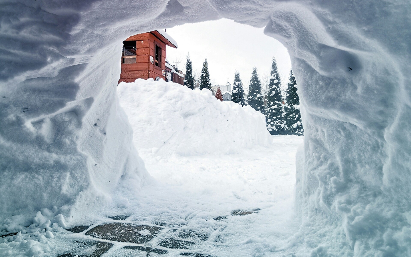 Haut-Jura ski school - Lajoux : Chamallow Igloo hike