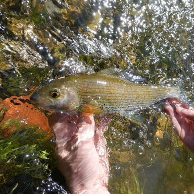 Matthieu fishing