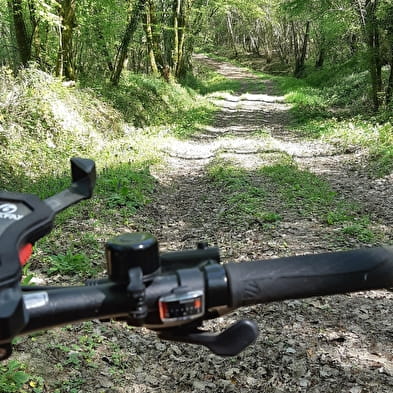 Liaison VTT-VTC entre Bresse et Revermont