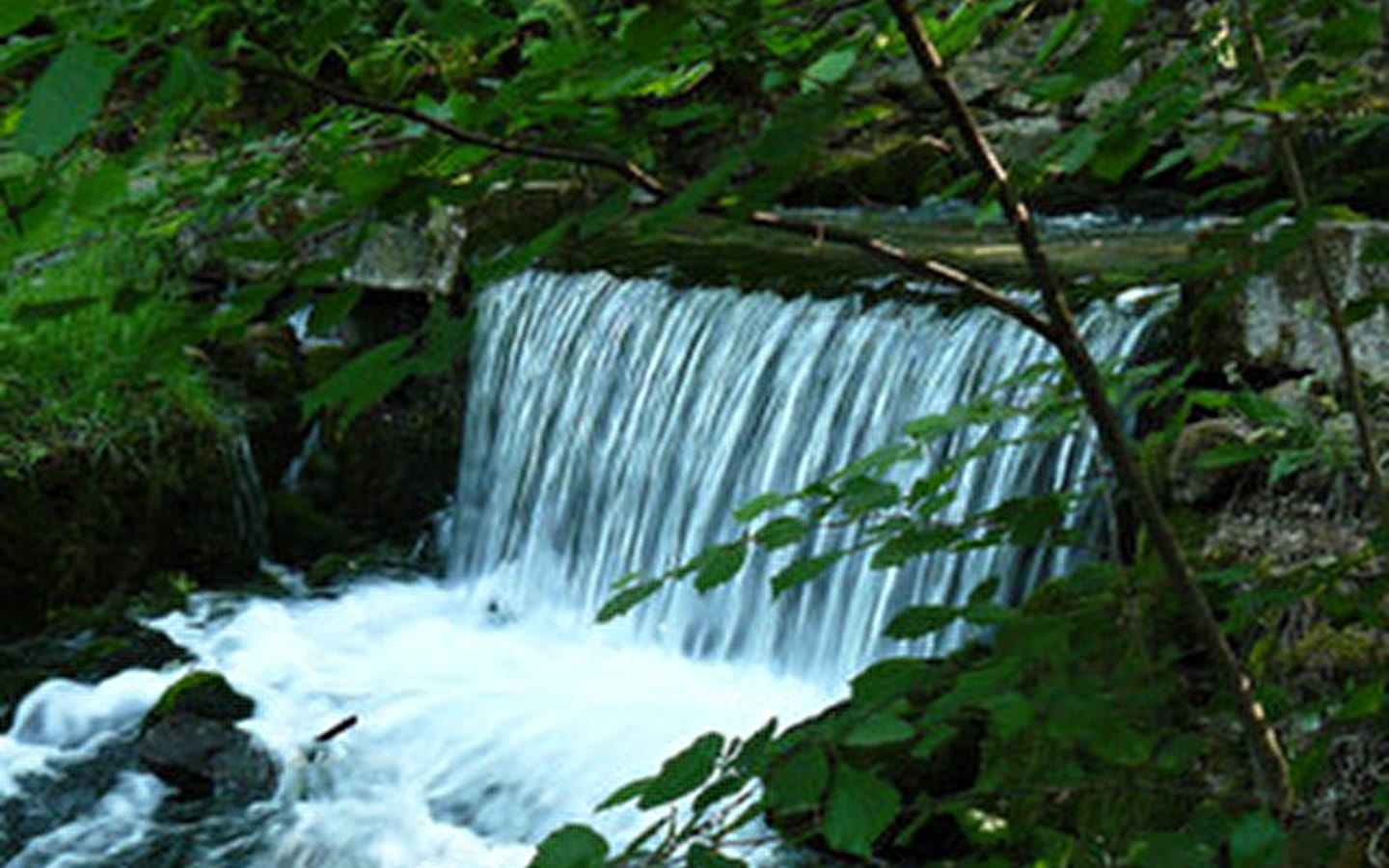 La Grande source