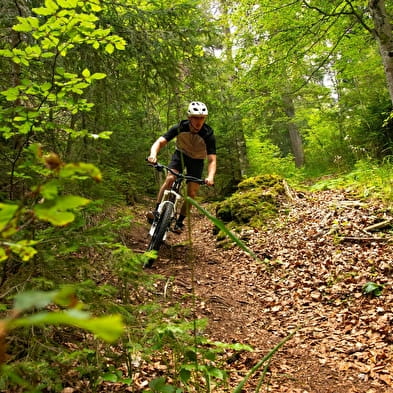 Ludi-Bike au Fort des Rousses